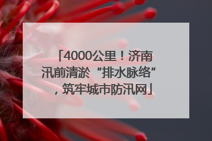 4000公里！济南汛前清淤“排水脉络”，筑牢城市防汛网