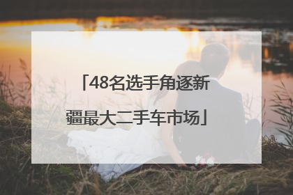 48名选手角逐新疆最大二手车市场