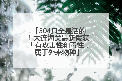 504只全是活的！大连海关最新截获！有攻击性和毒性，属于外来物种