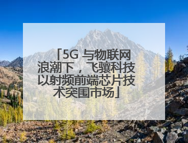 5G 与物联网浪潮下，飞骧科技以射频前端芯片技术突围市场