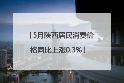 5月陕西居民消费价格同比上涨0.3%
