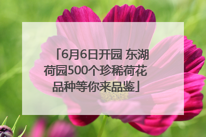 6月6日开园 东湖荷园500个珍稀荷花品种等你来品鉴