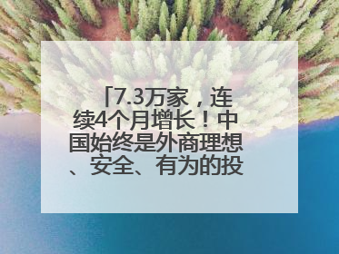 7.3万家，连续4个月增长！中国始终是外商理想、安全、有为的投资目的地