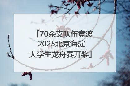 70余支队伍竞渡 2025北京海淀大学生龙舟赛开桨