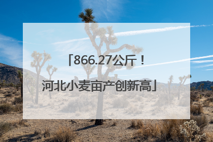 866.27公斤！河北小麦亩产创新高