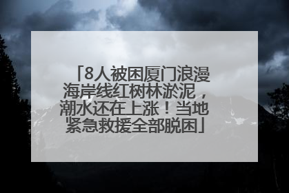 8人被困厦门浪漫海岸线红树林淤泥，潮水还在上涨！当地紧急救援全部脱困