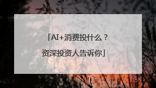 AI+消费投什么？资深投资人告诉你