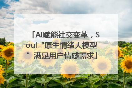 AI赋能社交变革，Soul“原生情绪大模型”满足用户情感需求