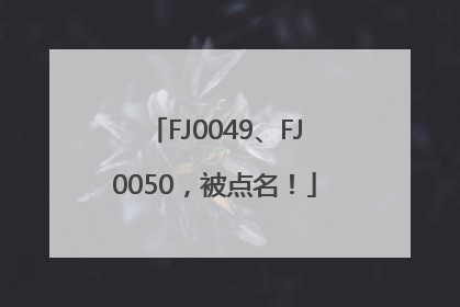 FJ0049、FJ0050，被点名！