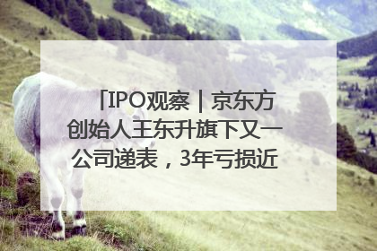 IPO观察｜京东方创始人王东升旗下又一公司递表，3年亏损近50亿元，近8成收入来自同一客户