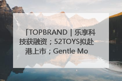 TOPBRAND｜乐享科技获融资；52TOYS拟赴港上市；Gentle Monster合作谷歌；Valentino传播官离职